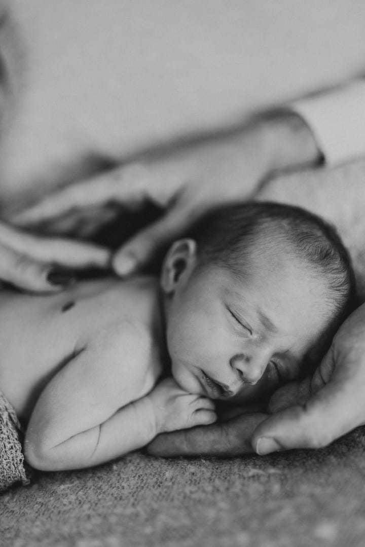 M110 copy https://mlucynlioumu.i.optimole.com/w:720/h:1080/q:mauto/f:best/https://ellavioletphotography.com/wp-content/uploads/2025/02/M110-copy-scaled.jpg